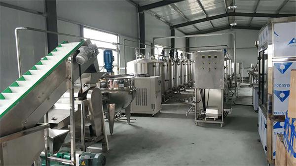 新疆石榴汁饮料加工设备厂家 中型生产沙棘原浆设备价格
