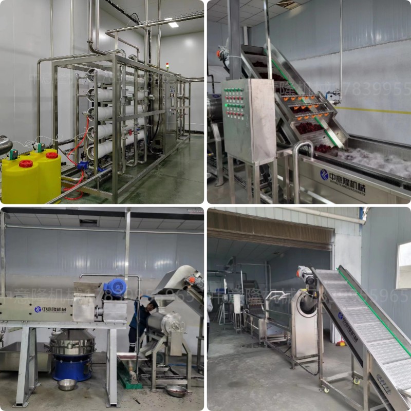 中意隆机械2023年承建贵州杨梅果汁饮料生产线项目