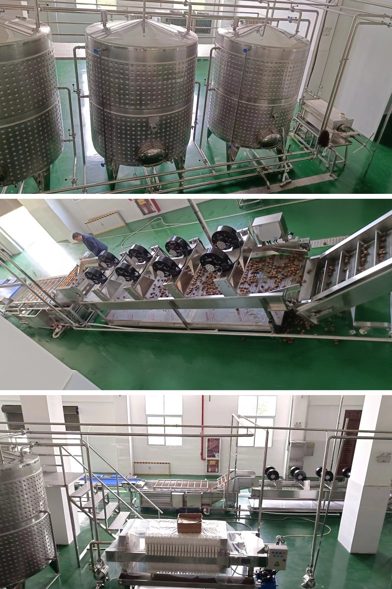 定制樱桃果酒生产线设备 中小型果酒饮料生产线设备工艺流程